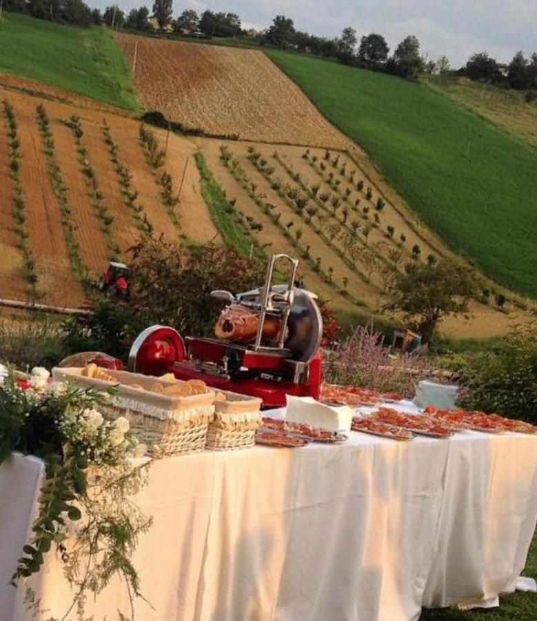 Agriturismo Alba Del Borgo Fidenza Exteriör bild