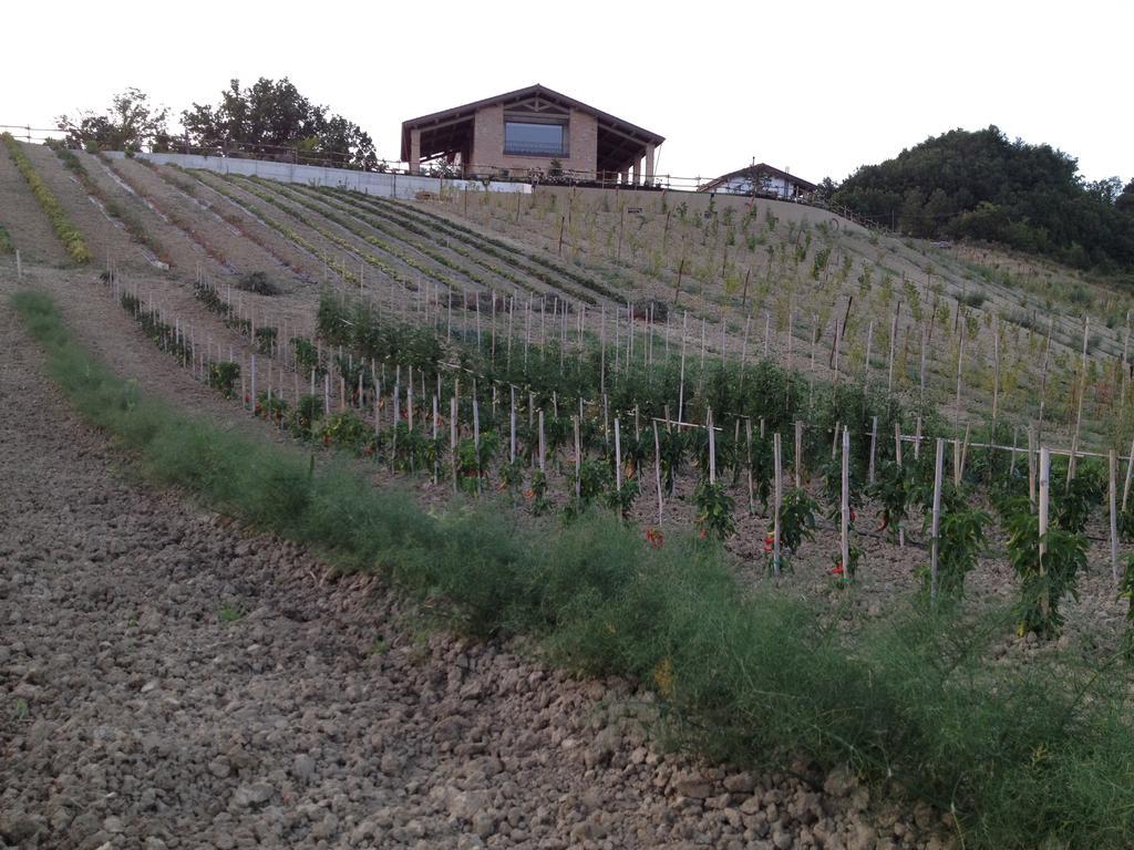 Agriturismo Alba Del Borgo Fidenza Exteriör bild